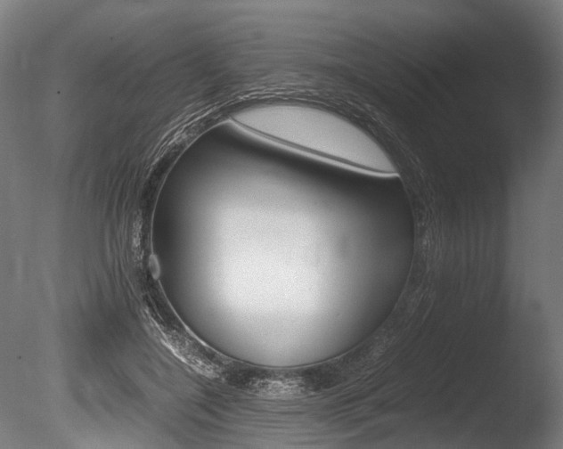 X0000086040548200703230857