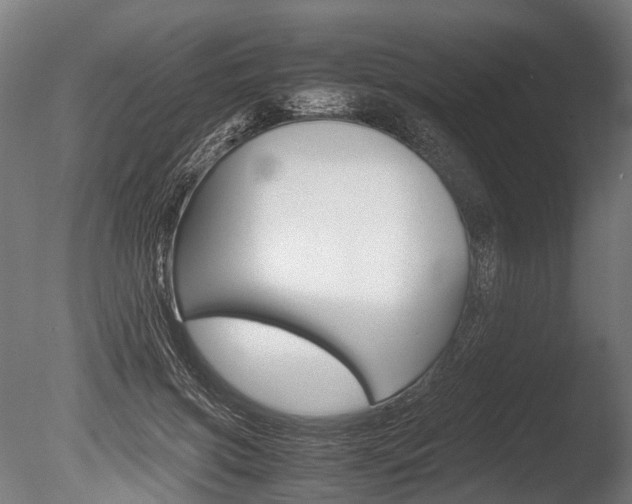 X0000086040549200703230857
