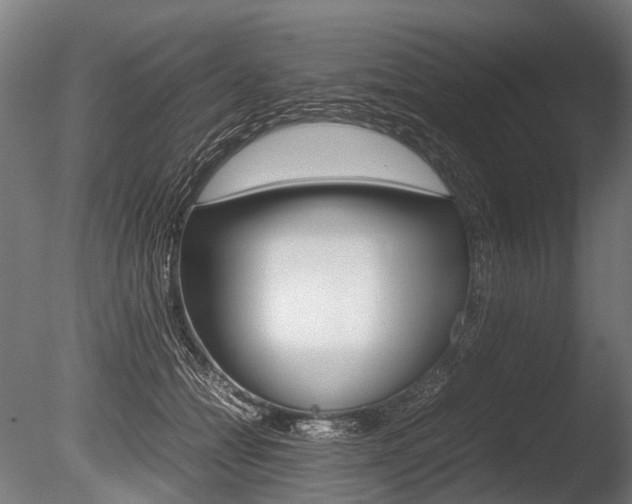 X0000086040558200703230857