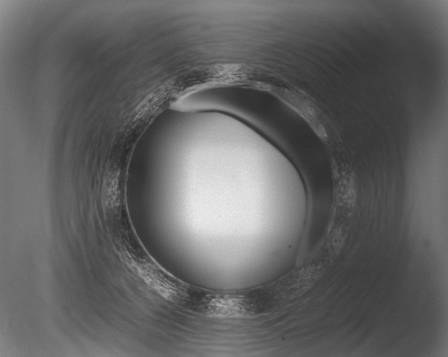 X0000086040560200703230857
