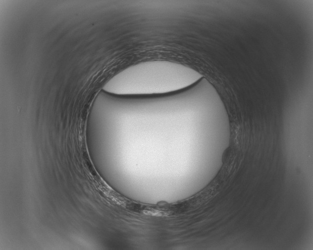 X0000086040561200703230857