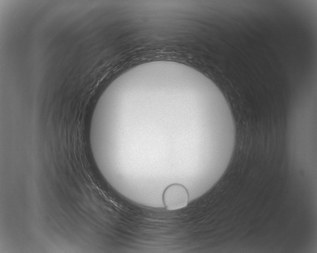 X0000086040564200703230857