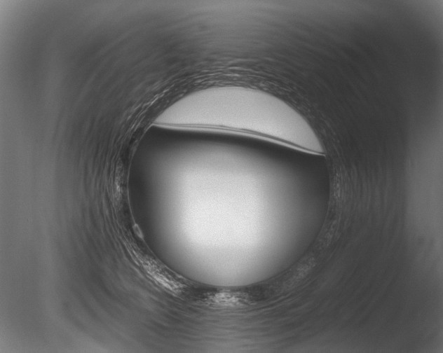 X0000086040566200703230857