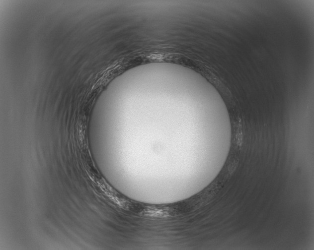 X0000086040569200703230857