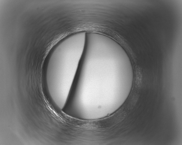 X0000086040578200703230856