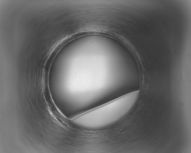 X0000086040580200703230856