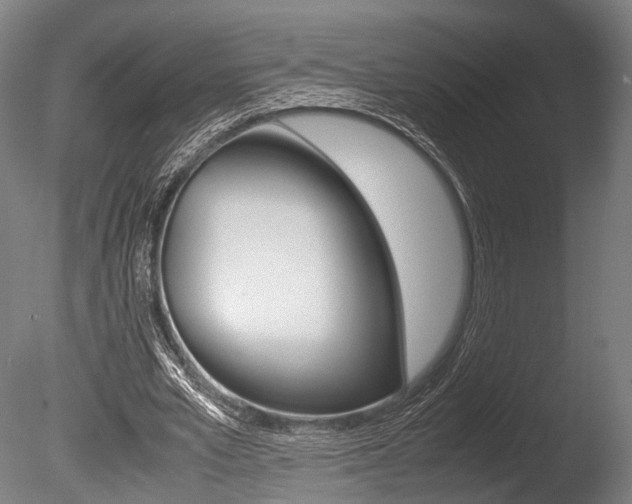 X0000086040581200703230856