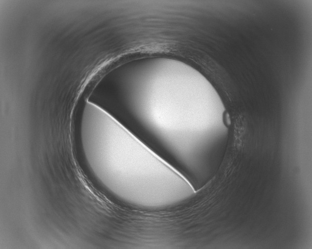 X0000086040584200703230856