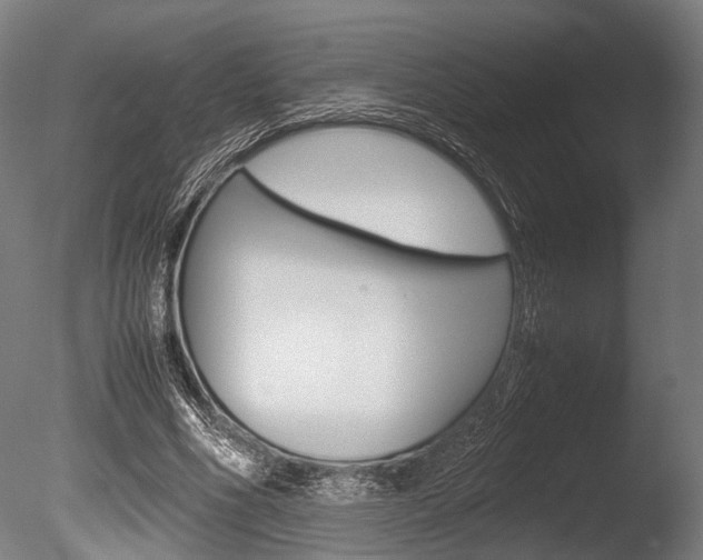X0000086040586200703230856