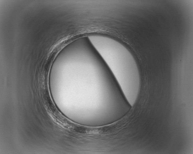 X0000086040587200703230856