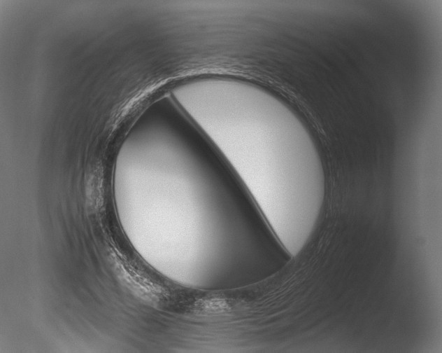 X0000086040588200703230856