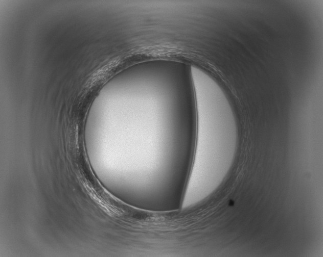 X0000086040589200703230856