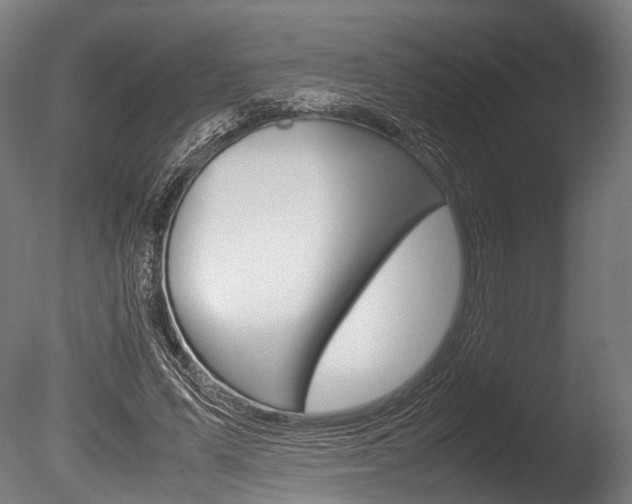 X0000086040591200703230856