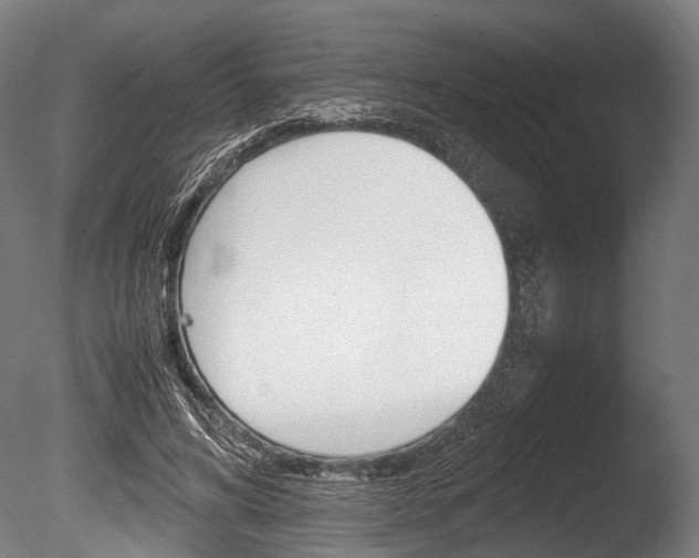 X0000086040592200703230856
