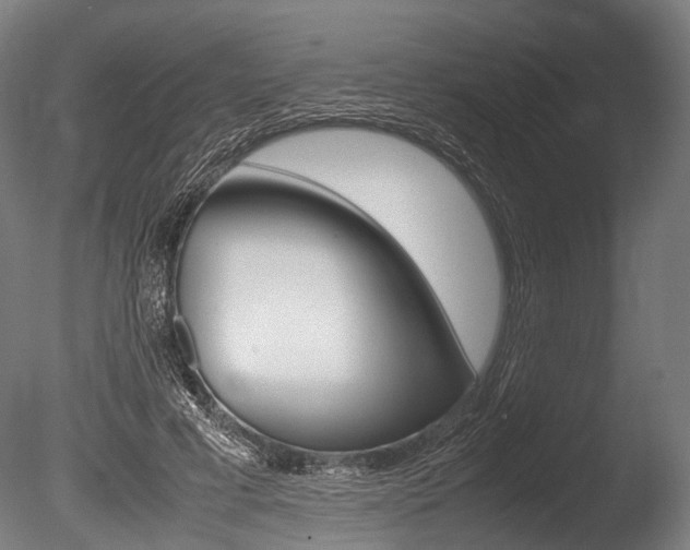 X0000086040593200703230856