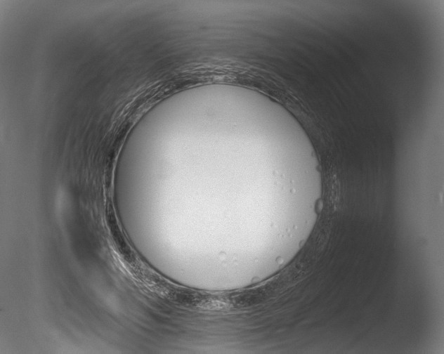 X0000086040594200703230856