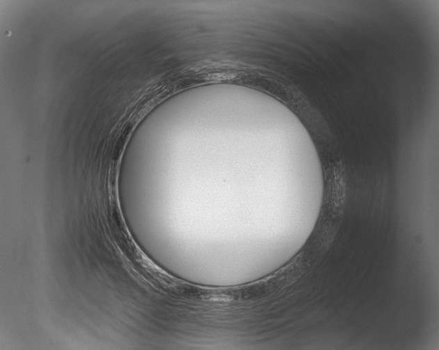 X0000086040598200703230856