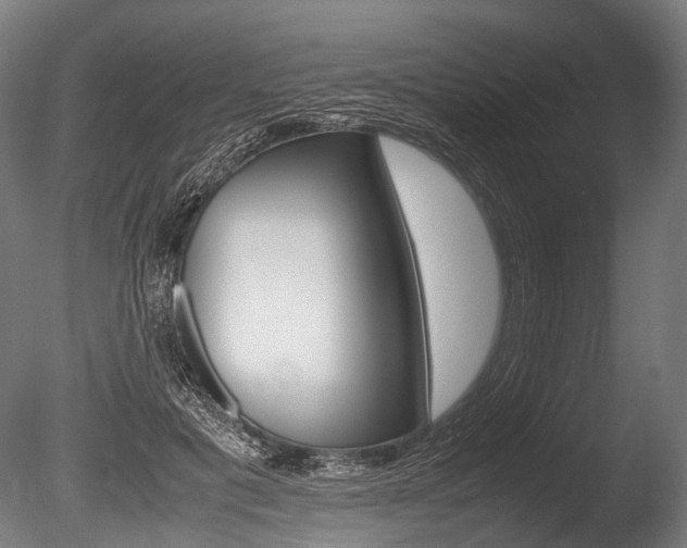 X0000086040601200703230856