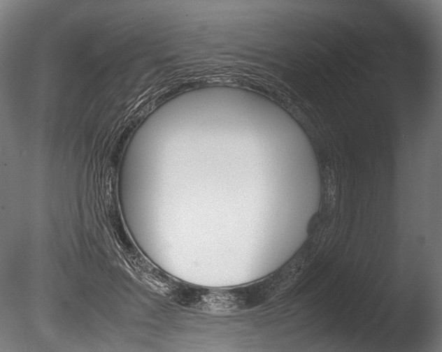 X0000086040603200703230856
