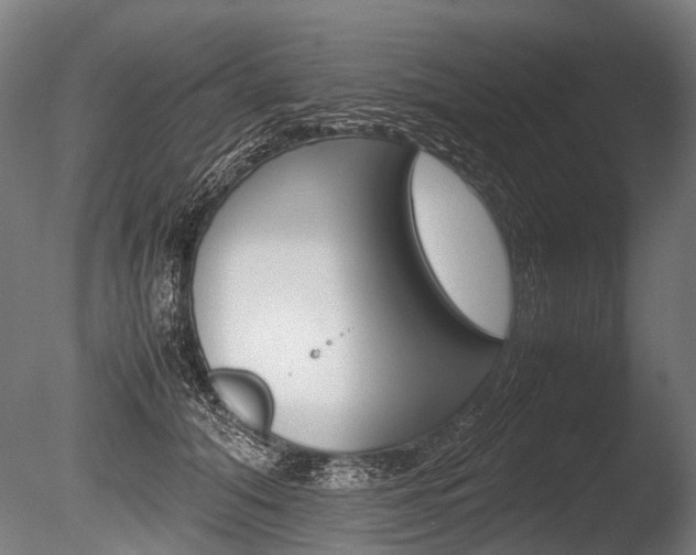 X0000086040608200703230856