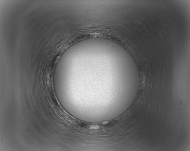X0000086040611200703230856