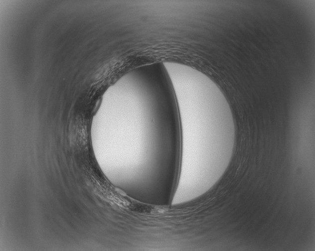 X0000086040613200703230856
