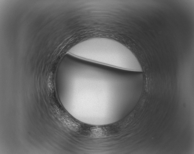 X0000086040616200703230856