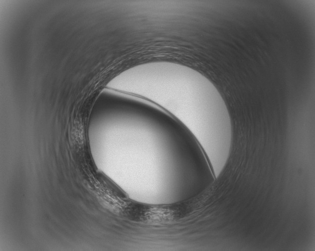 X0000086040617200703230856