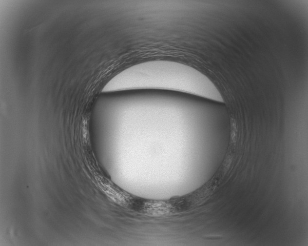 X0000086040621200703230856