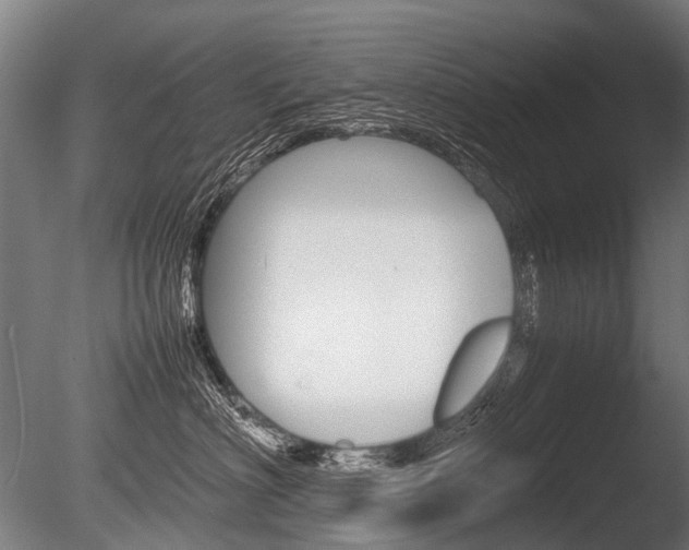 X0000086040622200703230856