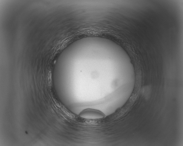 X0000086040624200703230856