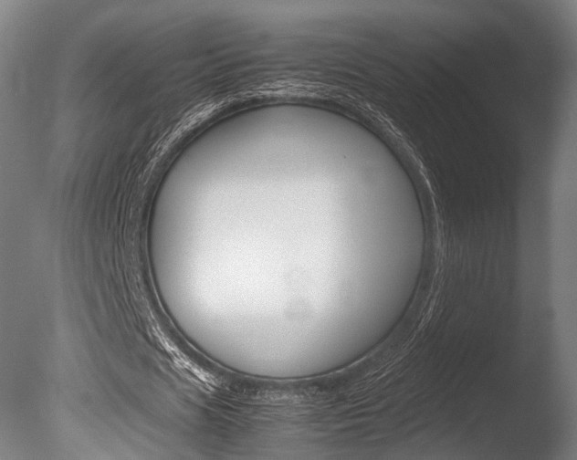 X0000086040625200703230855