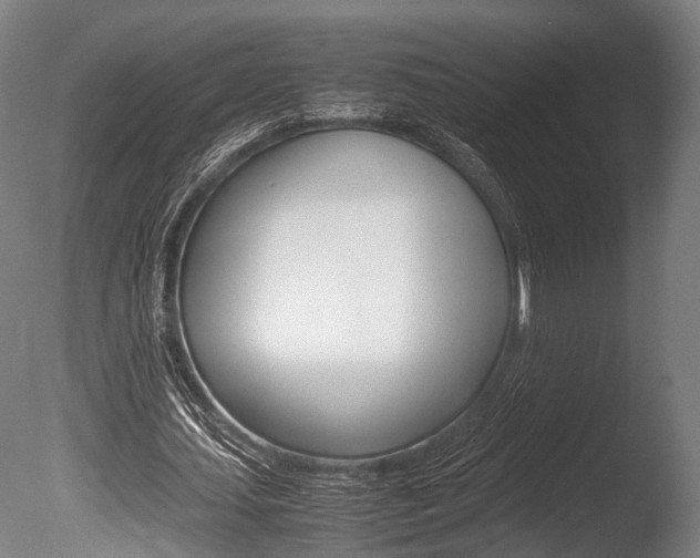 X0000086040627200703230855