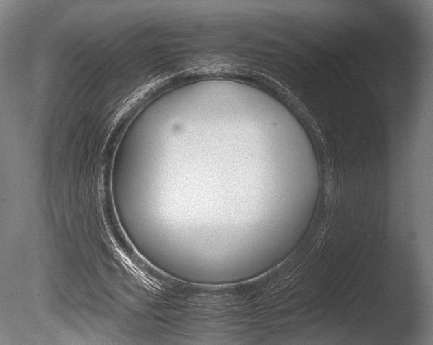 X0000086040629200703230855