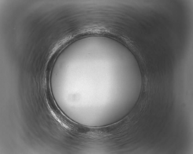 X0000086040630200703230855