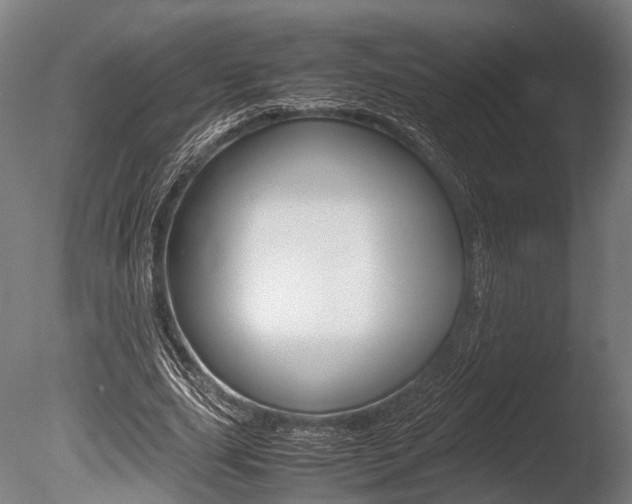 X0000086040631200703230855