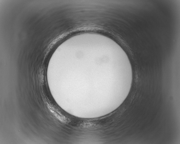 X0000086040632200703230855