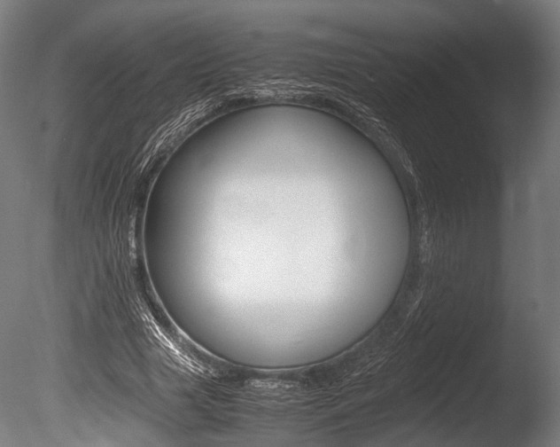 X0000086040633200703230855