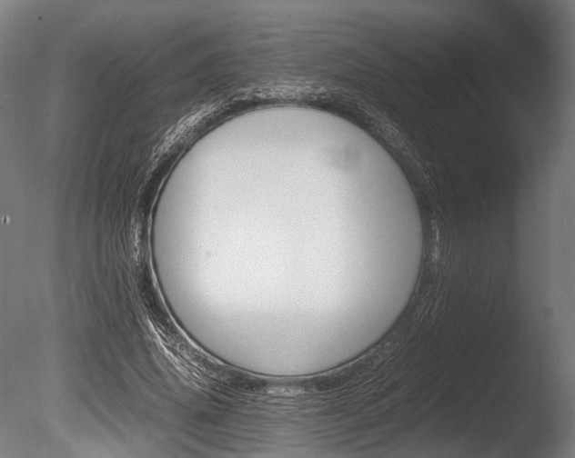 X0000086040636200703230855