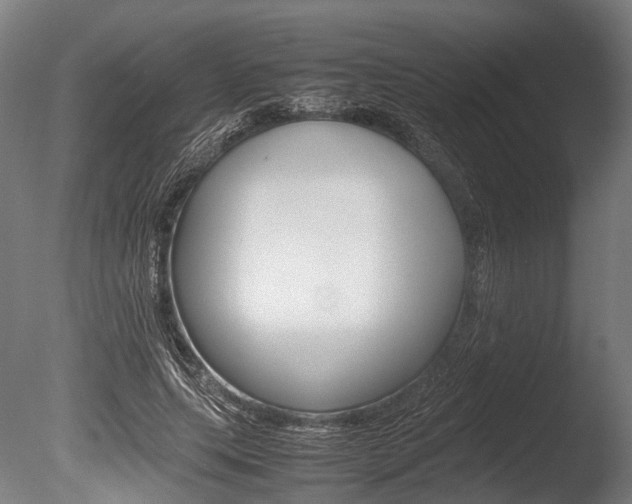 X0000086040639200703230855
