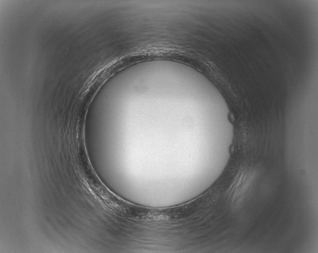 X0000086040640200703230855