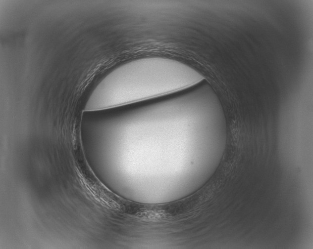 X0000086040642200703230855