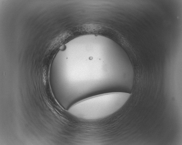 X0000086040644200703230855