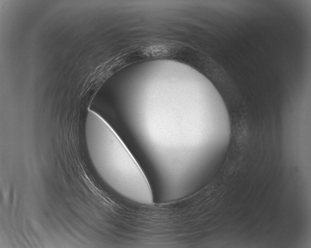 X0000086040645200703230855