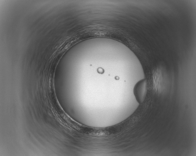 X0000086040646200703230855