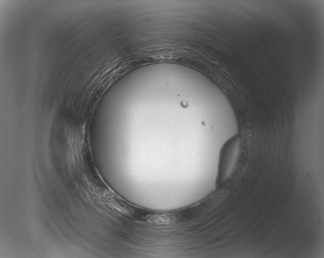 X0000086040652200703230855
