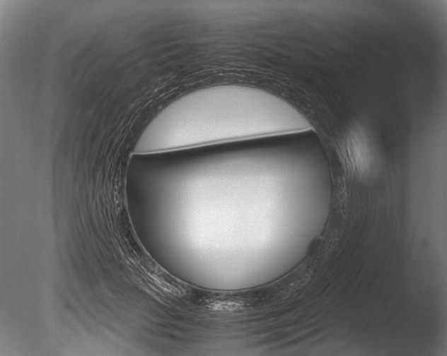 X0000086040653200703230855