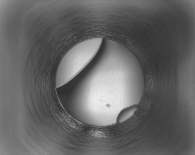 X0000086040655200703230855