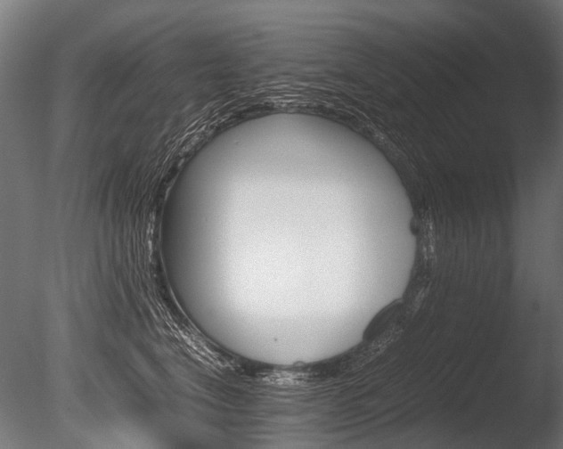 X0000086040664200703230855