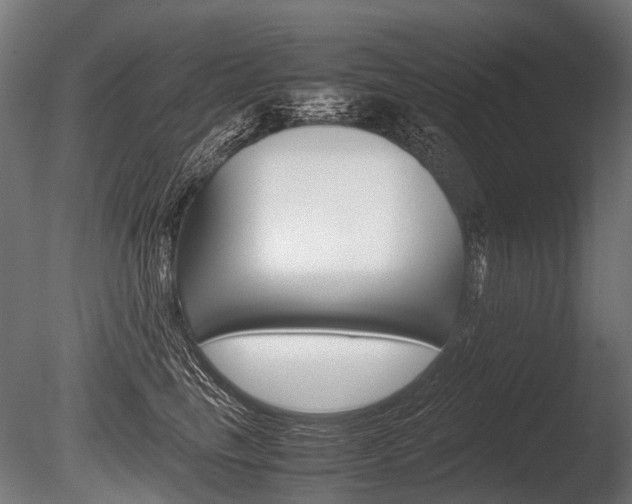 X0000086040665200703230855